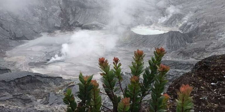 Jakarta: Volcano, Tea/Rice Fields, Hot Spring, Local Food - What Travelers Are Saying