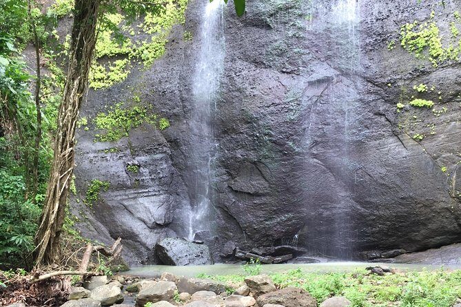 Jeep & Zipline Adventure in St. Lucia - Who Should Consider This Tour?