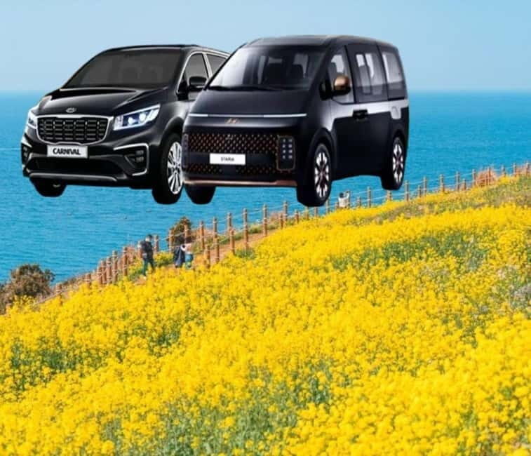 Jeju Island: Private Car Charter Tour - The Itinerary: What Youll See and Do