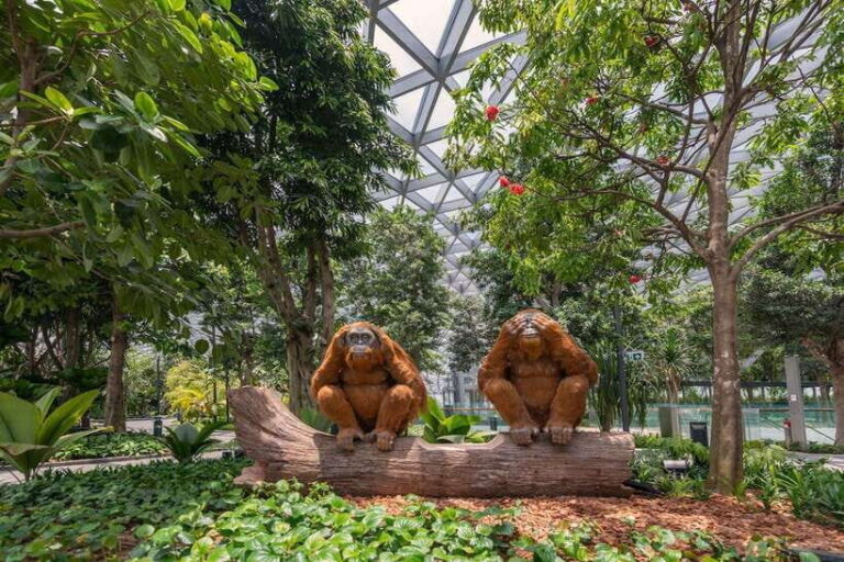 Jewel Changi Airport: Mirror Maze and Canopy Park Ticket - Canopy Park and Its Playful Offerings