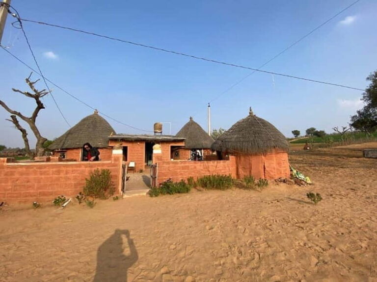 Jodhpur: Overnight Stay in Desert with Camel Safari - Why This Tour Offers Great Value