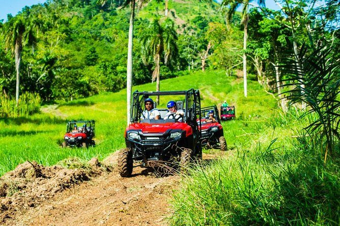 Jungle Buggies and Monkeyland from Punta Cana - Evaluating the Value