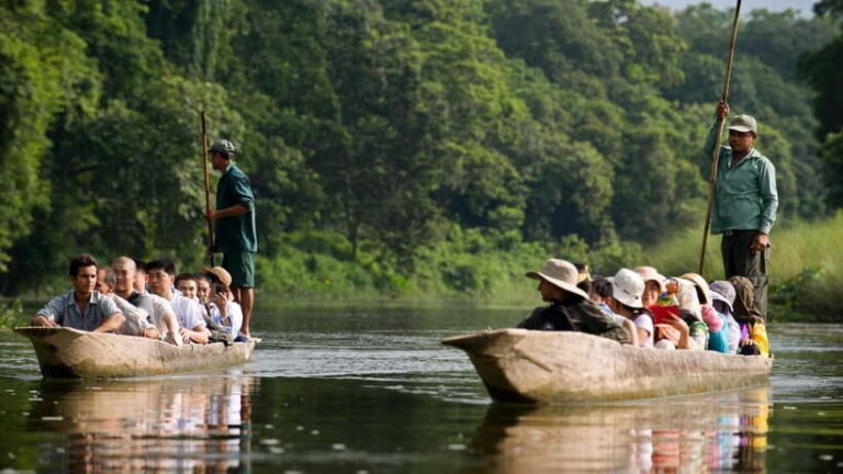 Kathmandu/Pokhara: 3 Day Chitwan Jungle Safari Tour - What Sets This Tour Apart?