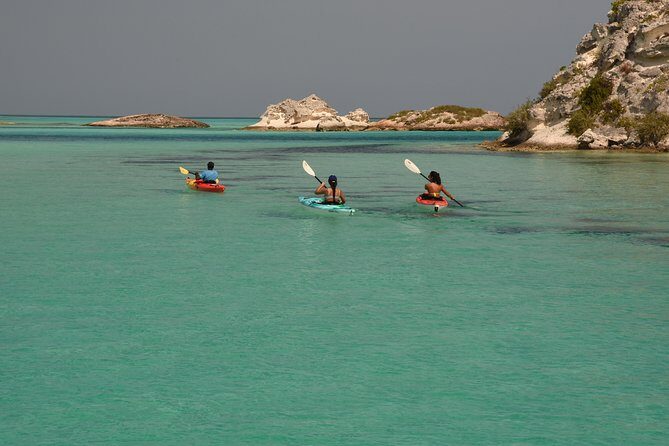 Kayak Eco Tour - Value and Pricing