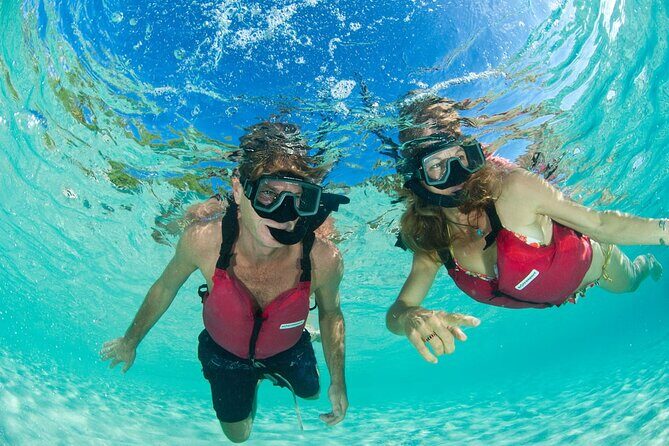 Kayak & Snorkel with Sea Turtles, National Park, St. John - What’s Included and Why It Matters