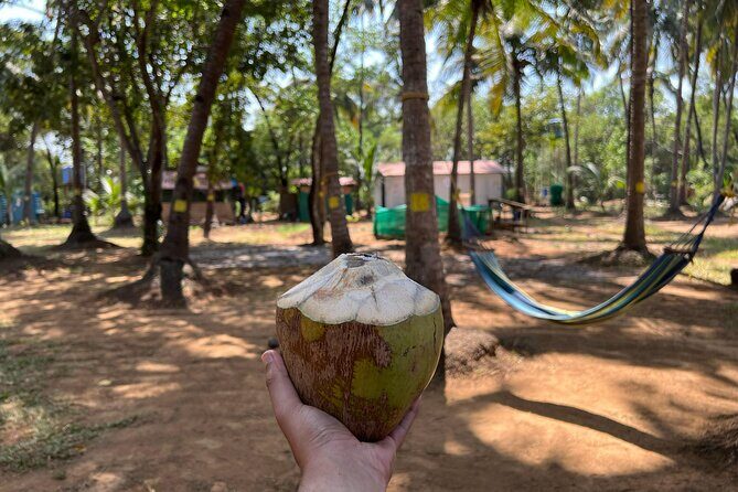 Kayaking At Private Island In Goa - Who Should Consider This Tour?