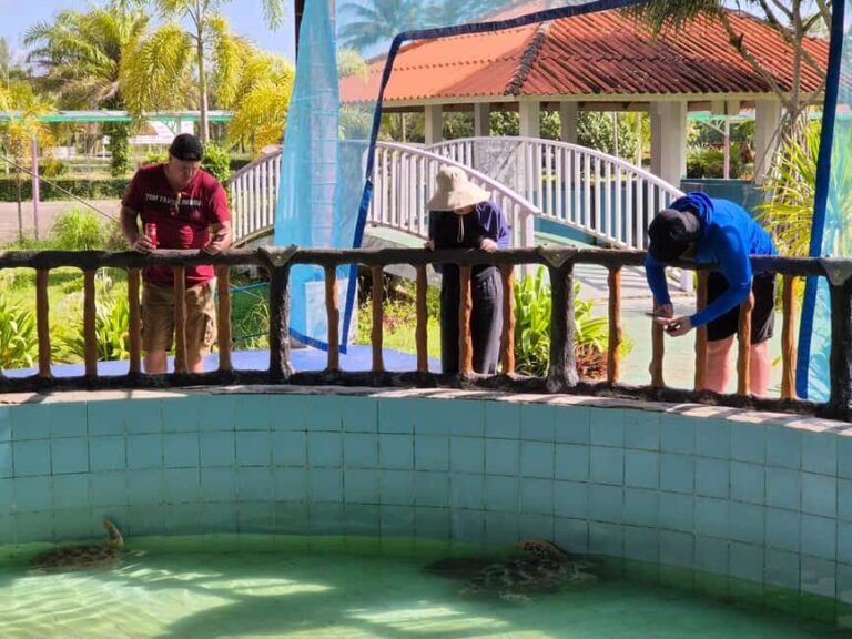 Khao Lak: Waterfall,Sea Turtle,Elephant Care,Meal & Transfer - Real Traveler Insights