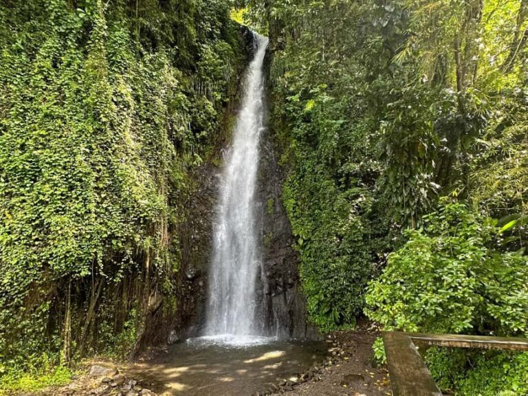Kingstown: Cascading Dark View Falls and Beach Tour - The Itinerary in Detail