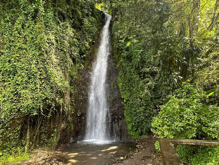 Kingstown: Cascading Dark View Falls and Beach Tour - The Itinerary in Detail