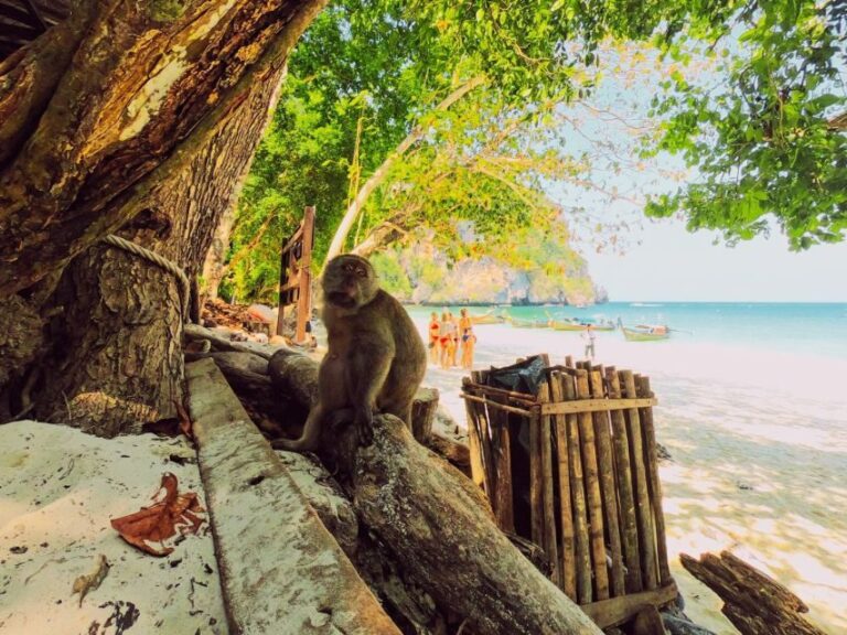Ko Lanta: Phi Phi Day Trip by Speed Boat - What’s Included and What’s Not