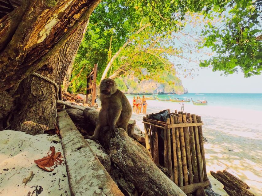 Ko Lanta: Phi Phi Day Trip by Speed Boat - What’s Included and What’s Not