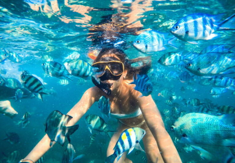 Ko Samet: 5 or 6 Islands Snorkeling Tour with Lunch Option - What We Like and What to Keep in Mind