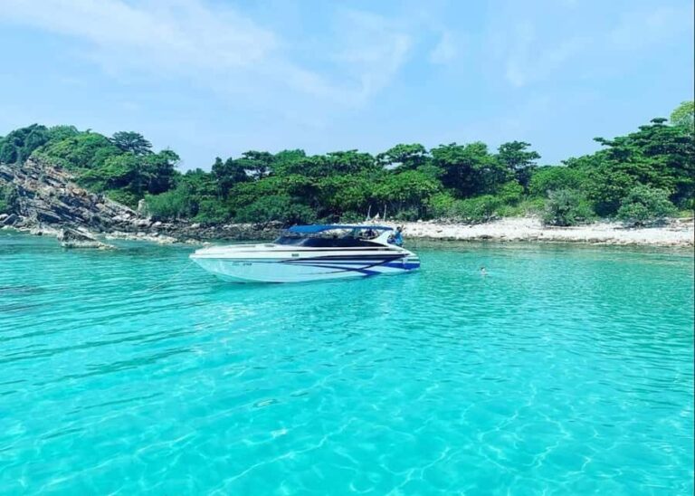 Ko Samui: Pig Island Snorkeling and Koh Tan Speedboat Tour - Who Is This Tour Best For?