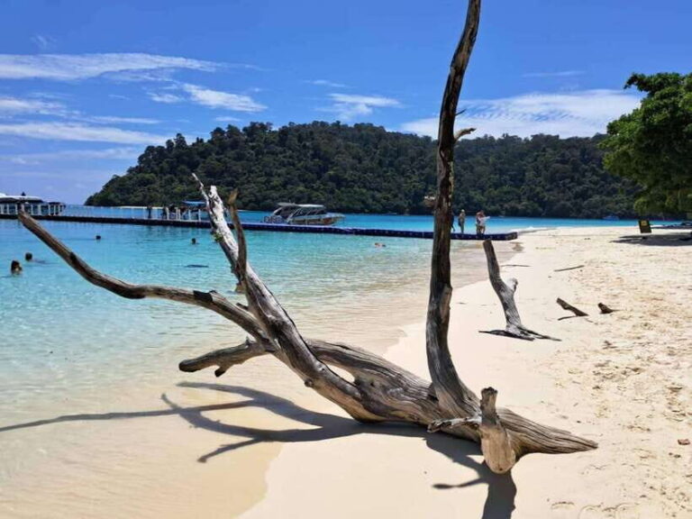Koh Lanta: Koh Rok and Koh Haa Snorkeling Adventure - An Overview of This Snorkeling Experience