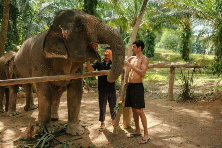 Krabi: Elephant Sanctuary (near Ao Nang) Visit - Who Will Love This Tour?