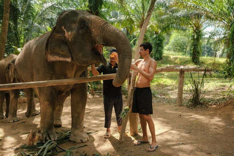 Krabi: Elephant Sanctuary (near Ao Nang) Visit - Who Will Love This Tour?