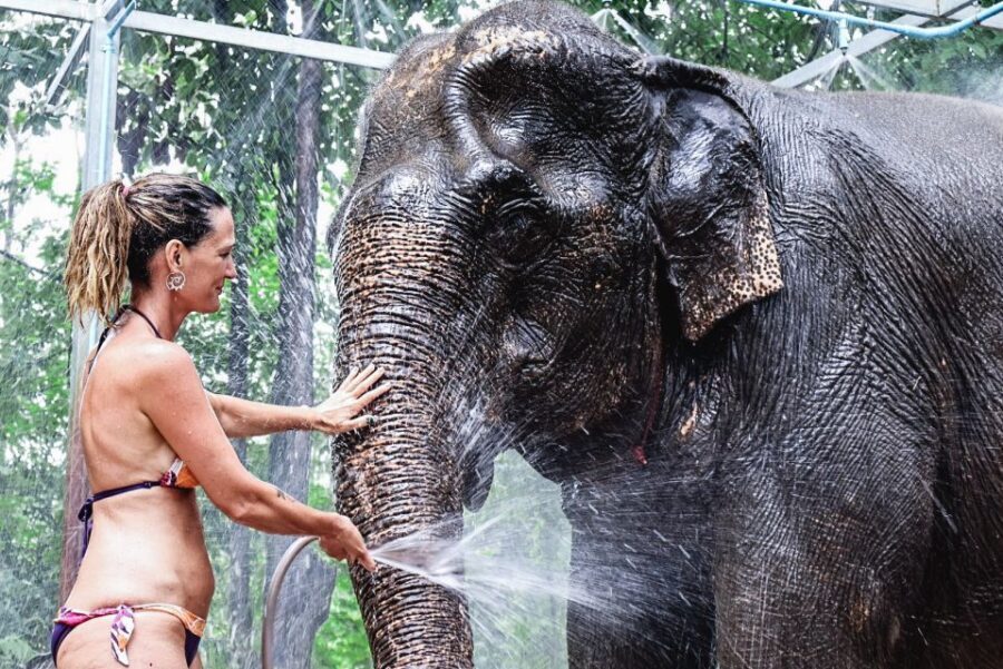Krabi: Highlights Tour with Krabi Elephant Shelter - The Ethical Heart of the Sanctuary