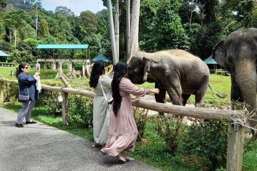 Kuala Lumpur: Kuala Gandah and Batu Caves Private Trip - FAQ