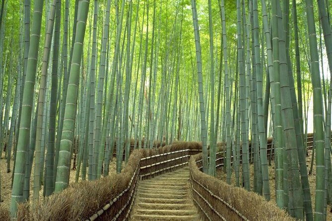 Kyoto Day Trip using Private Car with English Driver (up to 5) - Why This Tour Excels