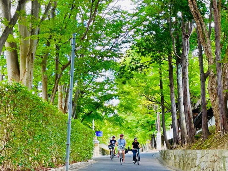 Kyoto: Fushimi Inari Shrine and Tofukuji Temple E-Bike Tour - What It Feels Like to Take This Tour