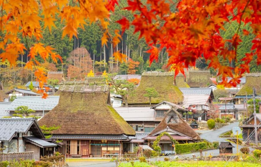Kyoto: Miyama Village, Amanohashidate & Ine Bay Day Trip - Ine Bay: Japan’s Venice of the Sea