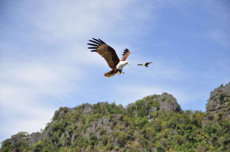 Langkawi: 6-Hour Private Island Highlights Tour - Practical Tips for Your Day