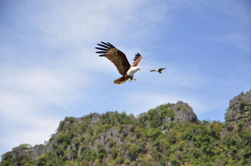 Langkawi: 6-Hour Private Island Highlights Tour - Practical Tips for Your Day