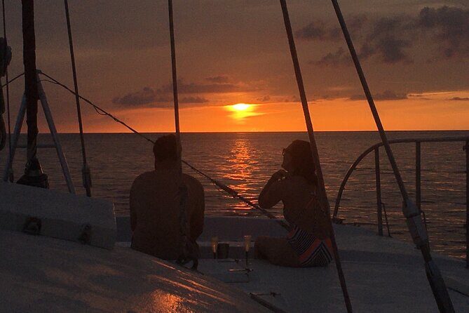 Live Music Sunset Sail - Sightseeing and Wildlife Encounters