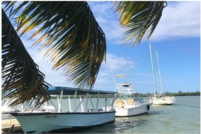 Luminous lagoon Dark night Tour from Ocho Rios and Runaway Bay Hotels - Who Will Love This Tour?