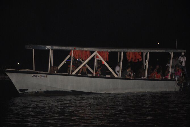 Luminous Lagoon Night Tour from Montego Bay - Who Should Consider This Tour?