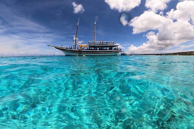 Luxury snorkel trip on a spacious wooden schooner and local lunch - What You’ll See and Do