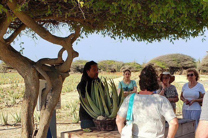 Made in Aruba Sightseeing Tour - FAQs