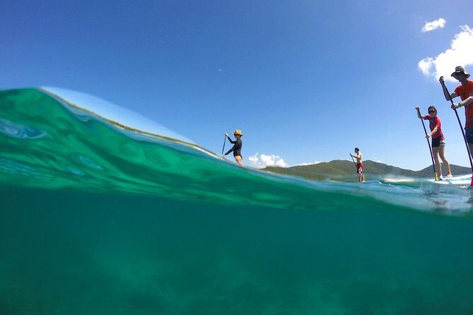 Magic Mangrove Paddle in Beef Island Lagoon - Practical Tips for Paddling in Beef Island Lagoon