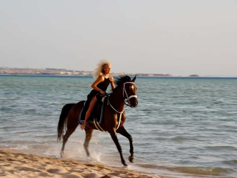 Makadi Bay: Horse Riding in Desert & Sea w Guide + Transfers - Pricing and Value Analysis