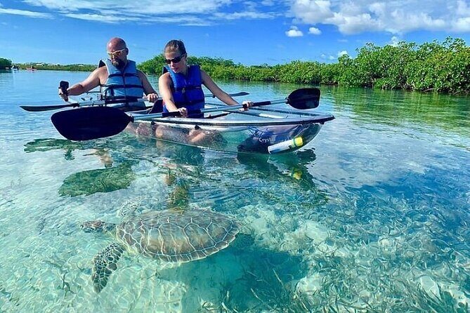 Mangrove Cay Tour - Authentic Testimonials: What Travelers Say