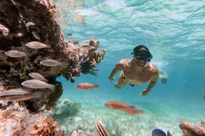 Marinarium Snorkeling Cruise from Punta Cana - What Do the Reviews Say?