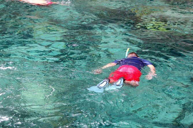 Martinique : Anse Coralienne & Tortues - Who Should Book This Tour?