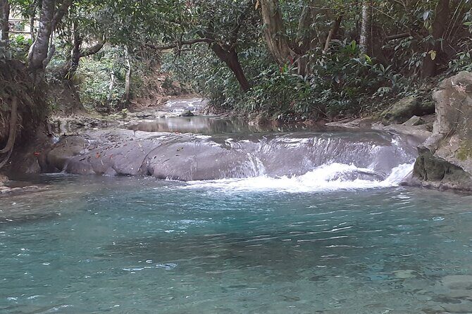 Mayfield Falls nature walk - Authentic Experiences and Practical Details