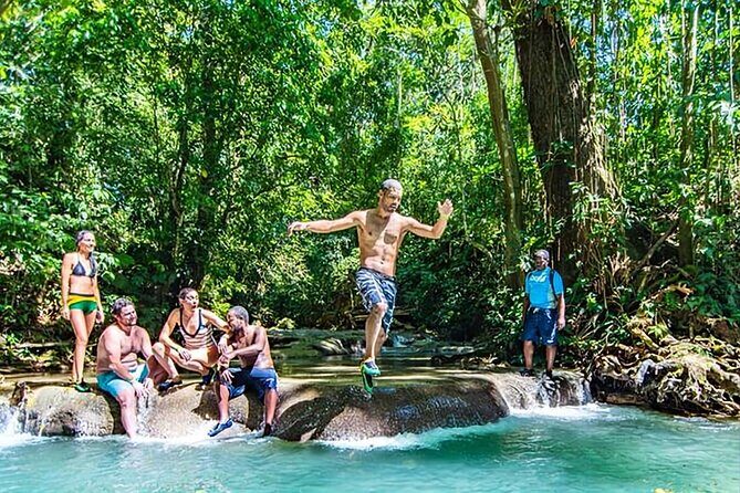 Mayfield Falls Tour with Lunch, drink, Entry & Transp(Original) - The Itinerary Breakdown
