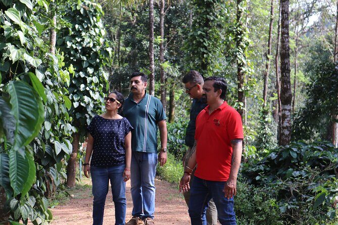 Mercara Gold Coorg Coffee and Spice Estate Tour - Final Thoughts