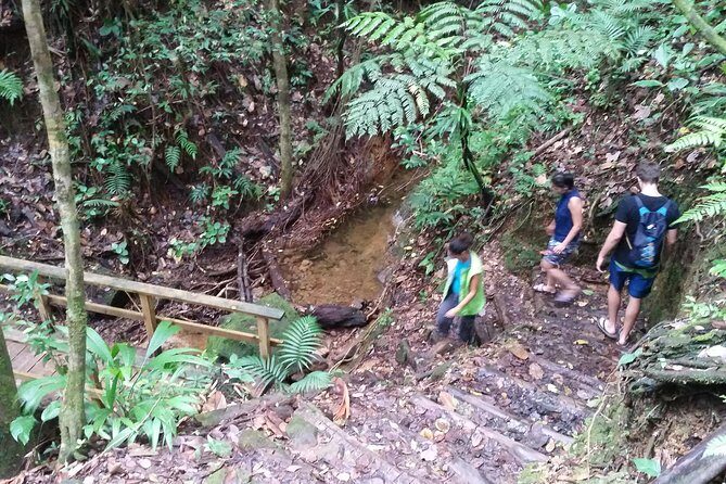 Middleham Falls Hike and Ti'tou Gorge Half-Day Excursion - Final Thoughts