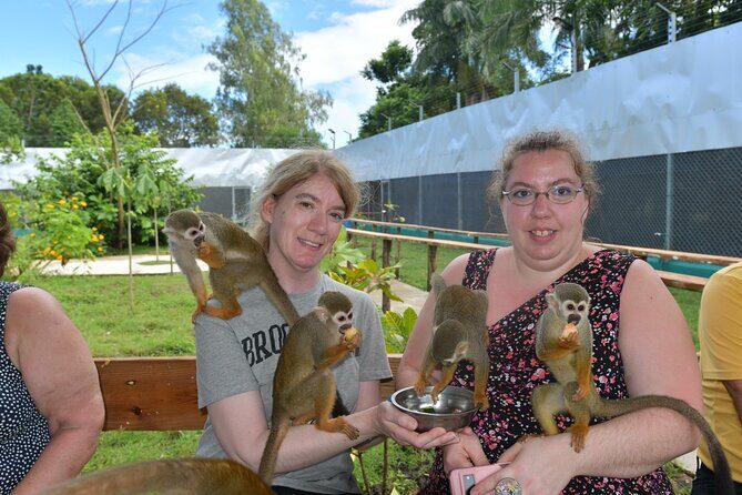 Monkey Tour Interaction and Damajagua waterfalls in Puerto Plata. - What to Expect at Each Key Stop
