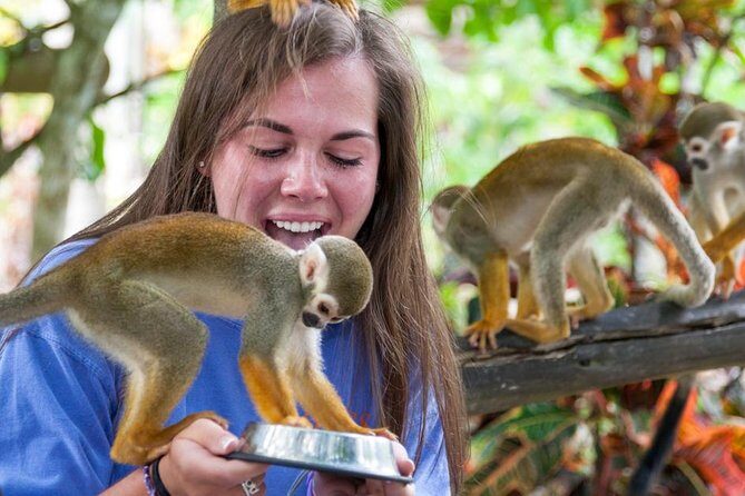 Monkeyland and Plantation Safari from La Romana - Final Thoughts: Who Will Love This Tour?