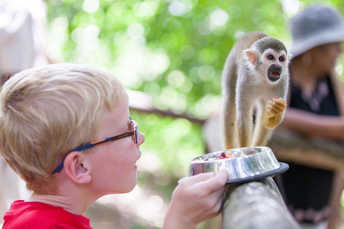 Monkeyland and Zipline Adventure from Puerto Plata - What Travelers Love and What to Consider