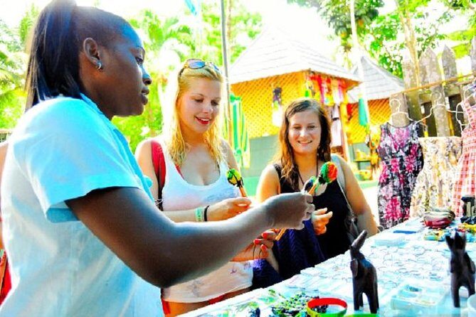 Montego Bay to Dunn's River Falls Half-Day Trip - Value for Money