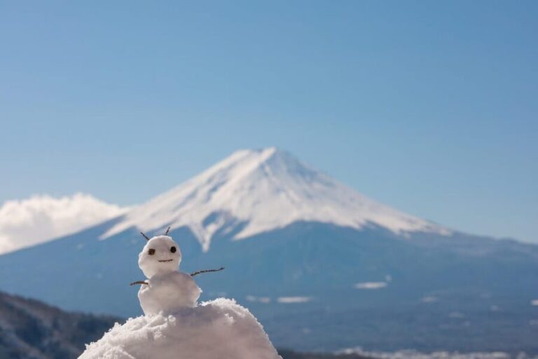 Mount Fuji Full-Day Private Tour from Tokyo (Customizable) - The Itinerary: What You Can Expect