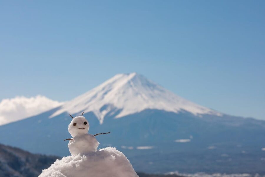 Mount Fuji Full-Day Private Tour from Tokyo (Customizable) - The Itinerary: What You Can Expect