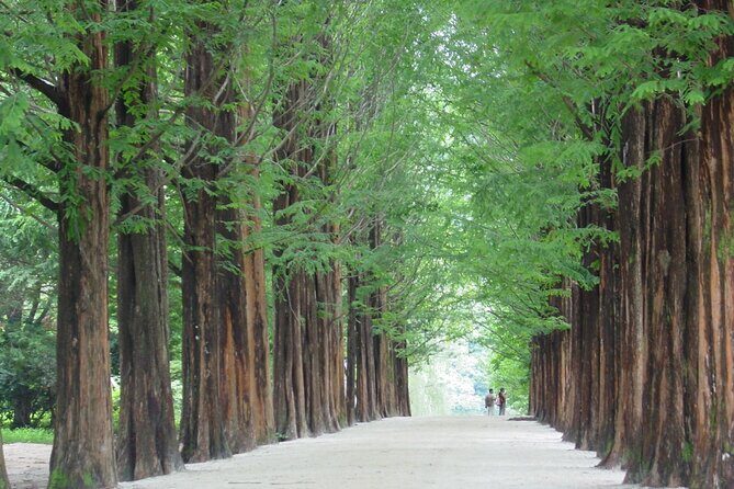 Mount Seorak and Nami Island One Day Tour from Seoul - Final Thoughts
