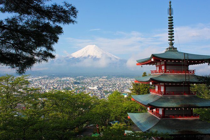 Mt Fuji & Hakone Private Day Tour w/ English Speaking Driver - The Experience: What It Means for You