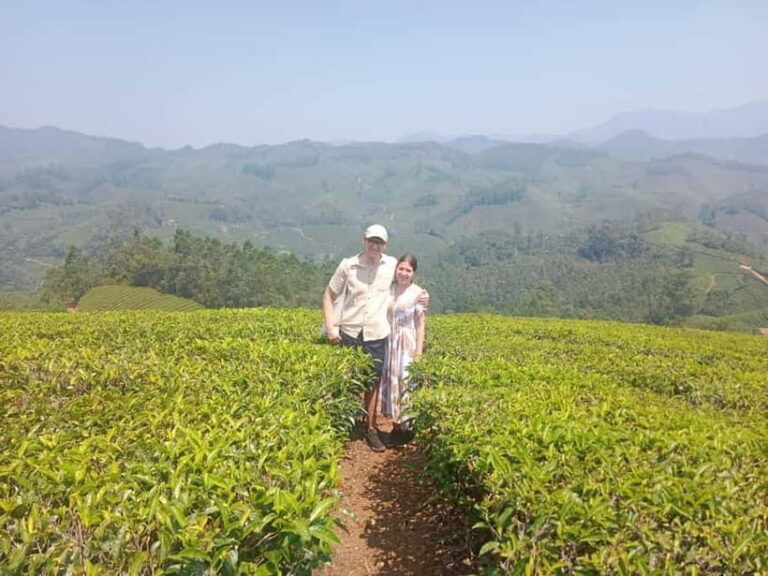 Munnar: Tea trail, Tea Factory, and Tea Tasting Tour - Practicalities and Value